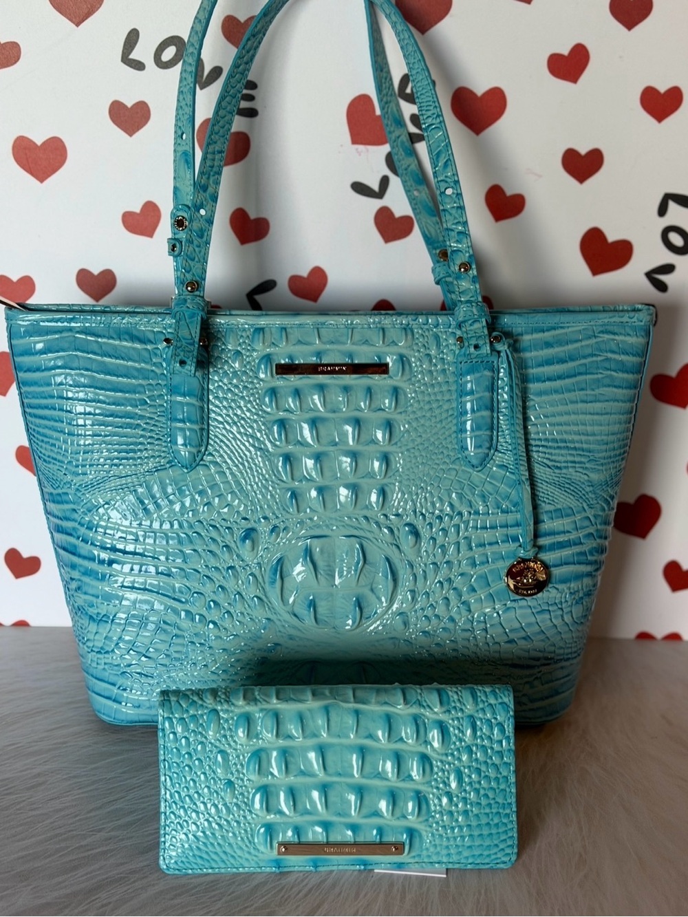 NWT SET Brahmin Medium Asher Tropic Blue Melbourne Leather with Ady Wallet